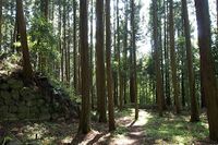 Karasuyama24.jpg