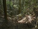 Ogawanakanokoka11.jpg