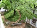 Oguchi (5).JPG