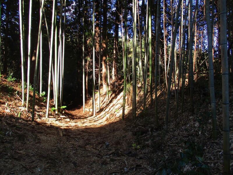 File:Ohnodajou (1).jpg