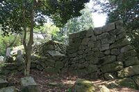 Ori12.jpg