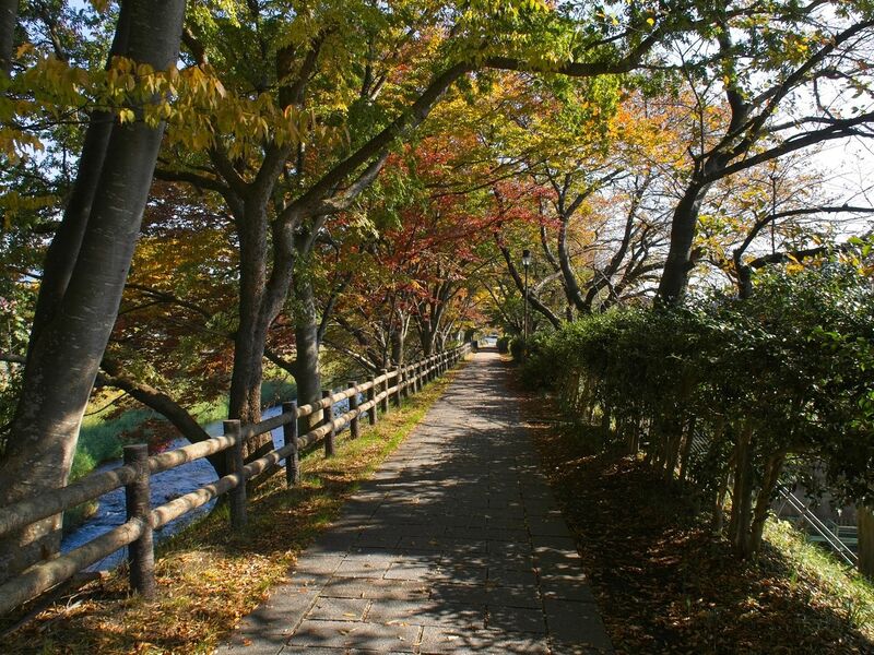 File:Serikawahikone1.jpg