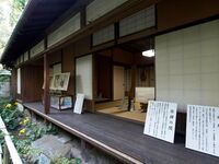 Umoreginoyahikone5.jpg