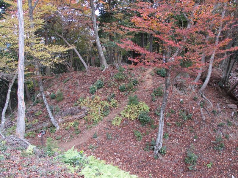 File:Bodaiyamajou 002.jpg