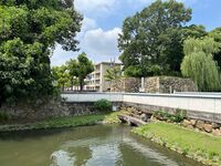Himejimiddlemoat14b.jpg