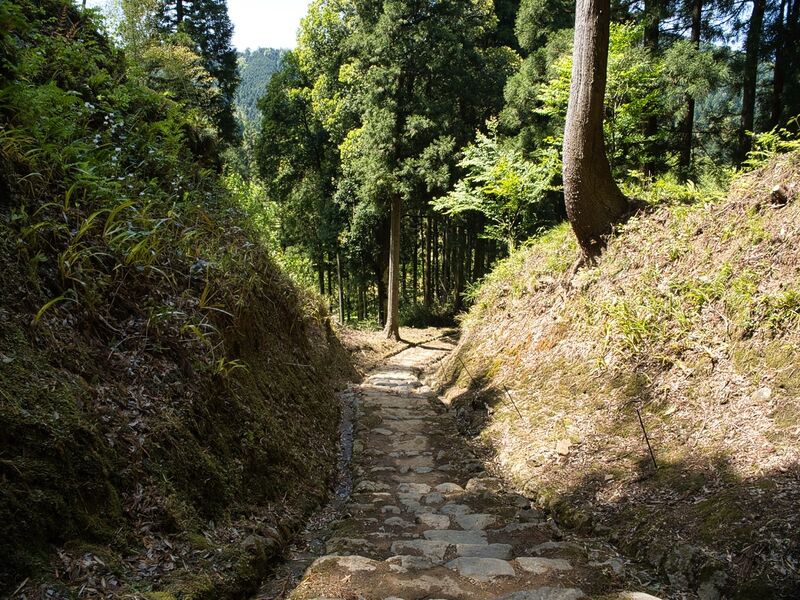 File:Ichijodani-asakura-nanyoji1.jpg