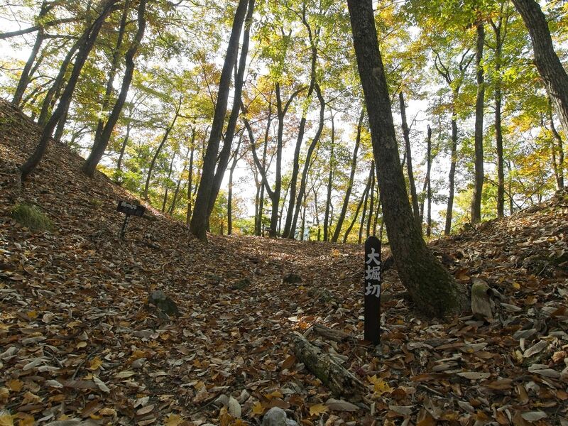 File:Kamaha31.jpg