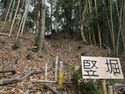 Kaseyamakyoto7.jpg