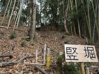 Kaseyamakyoto7.jpg