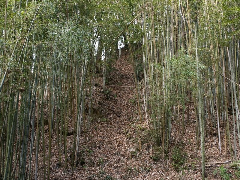 File:Kaseyamakyoto70.jpg