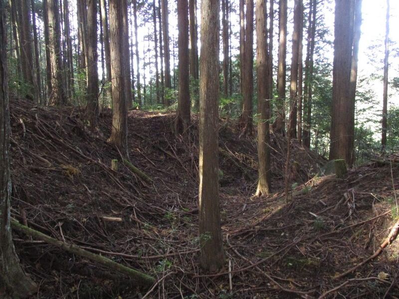 File:MikawaHabujou002.jpg