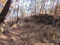MurakamiHanagoyajou (7).JPG