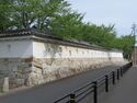 Oguchi (9).JPG