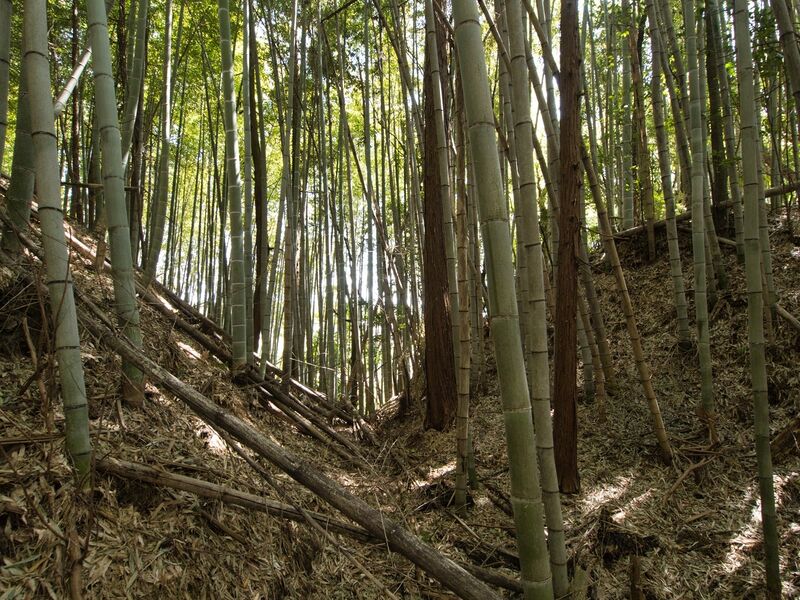 File:Shimoyamakita3.jpg