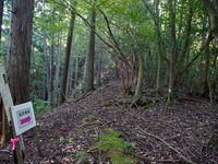 Shiogai1.jpg