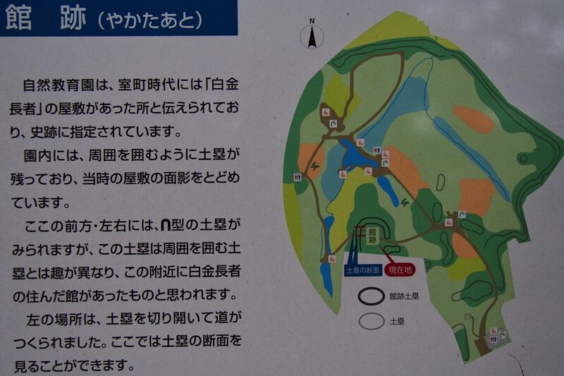 File:Shirogane4.jpg