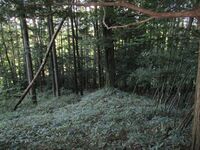 SuwaNakayamajou (3).JPG