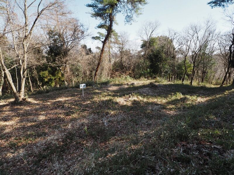 File:Teraochausuyama13.jpg