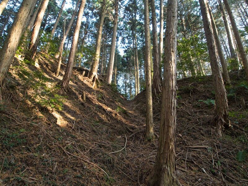 File:Uenokoka5.jpg