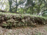 Akitakayama42.jpg