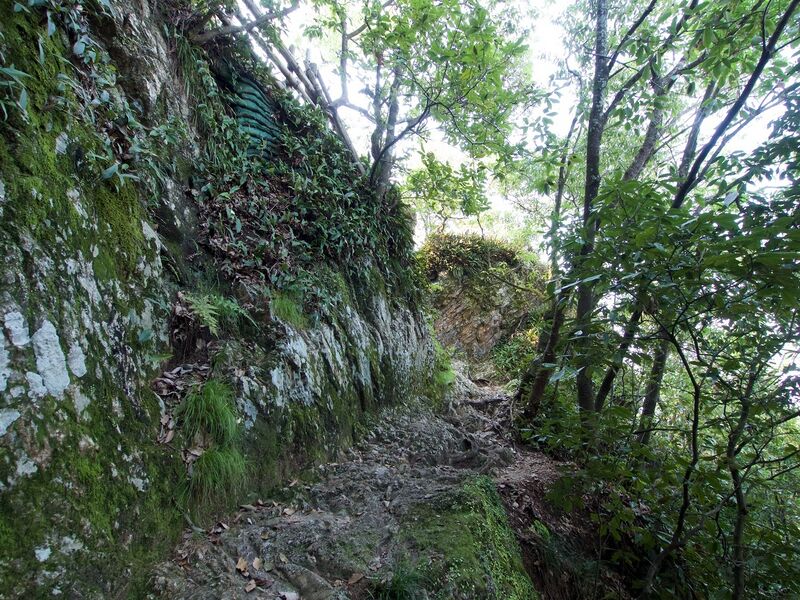 File:Gifu39.jpg