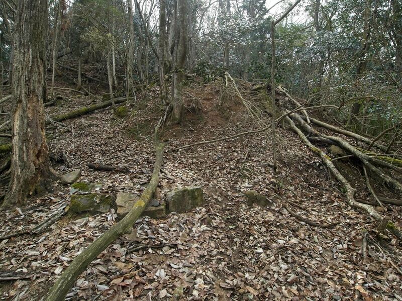 File:Goryu48.jpg
