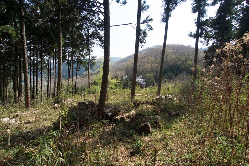 File:Kanaoyogaisan14.jpg