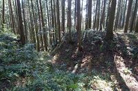 Karasuyama17.jpg