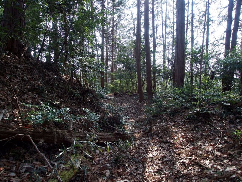 File:Manago12.jpg