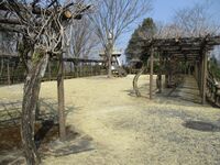 MinoHonjin001.jpg