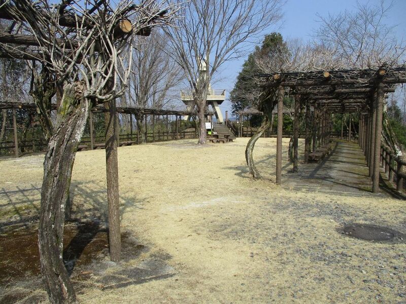 File:MinoHonjin001.jpg