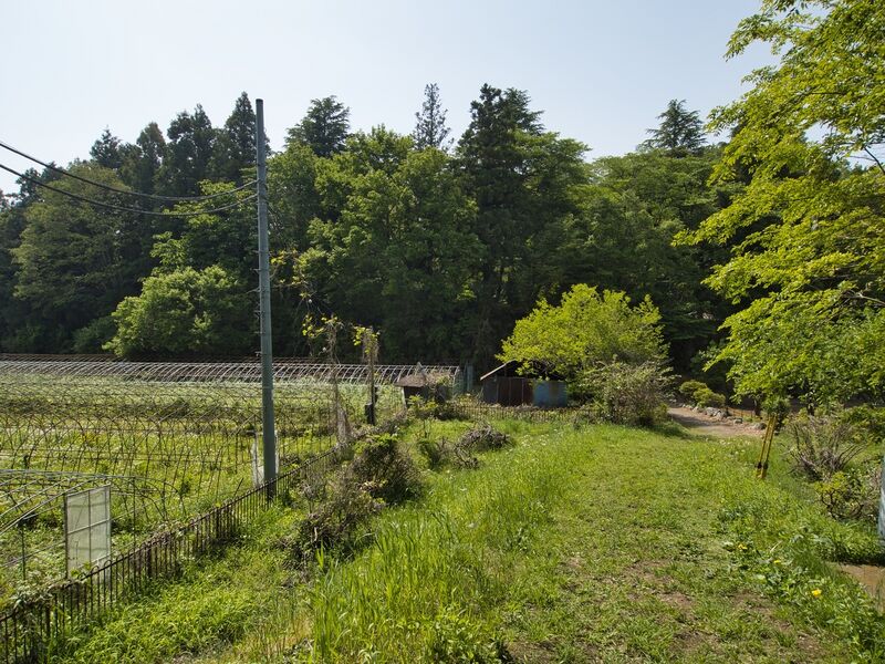 File:Ohtawara36.jpg