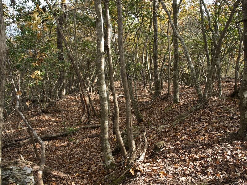 File:Shishiudokyoto13.jpg