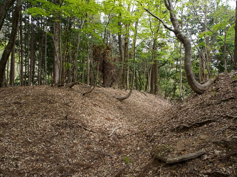 File:Shobudani30.jpg