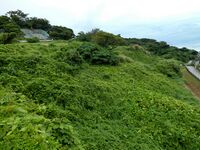 Urasoe Gusuku 203. Overgrown Outer Southern Baileysjpg.jpg
