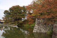 Yamagata42.jpg