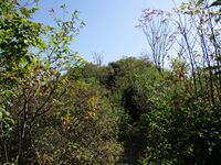 KiridouzanNoroshidai (3).JPG