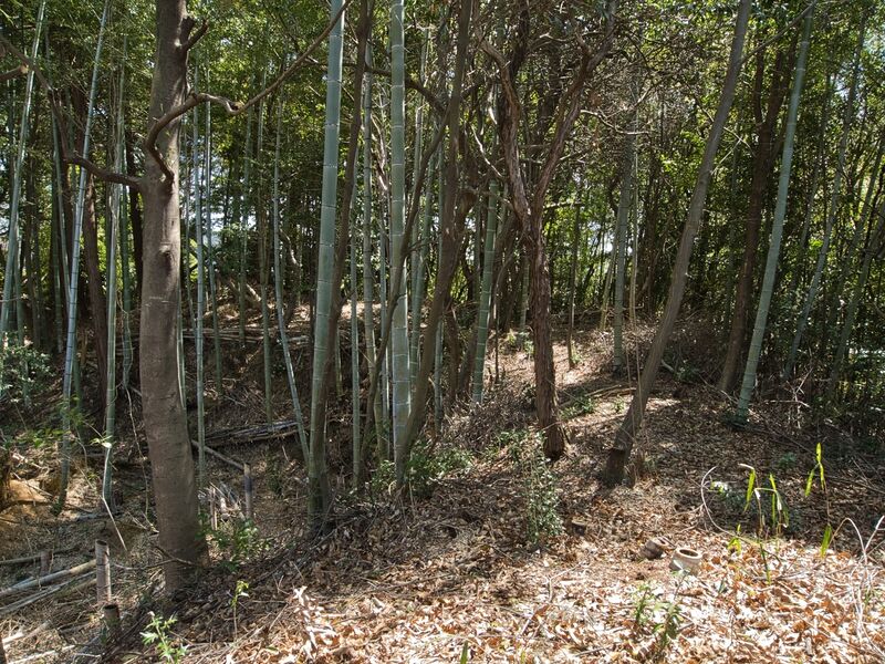 File:Kokashimoyama15.jpg
