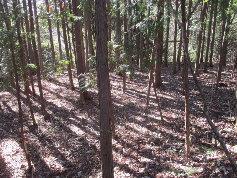 File:Nakahokkyuujou (16).jpg