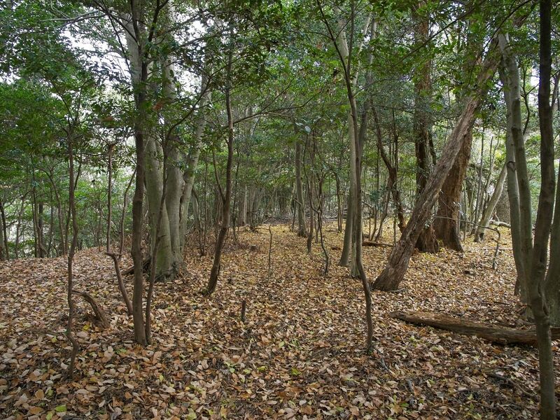 File:Nakaokyoto24.jpg