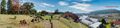 Thumbnail for version as of 22:16, 3 August 2020