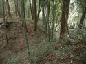Ogawanishinokoka17.jpg
