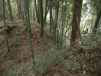 Ogawanishinokoka17.jpg