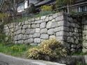 OhshimaJinya (10).jpg