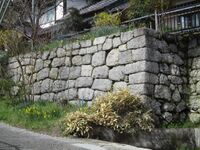 OhshimaJinya (10).jpg
