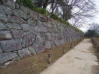 Sasayama53.jpg