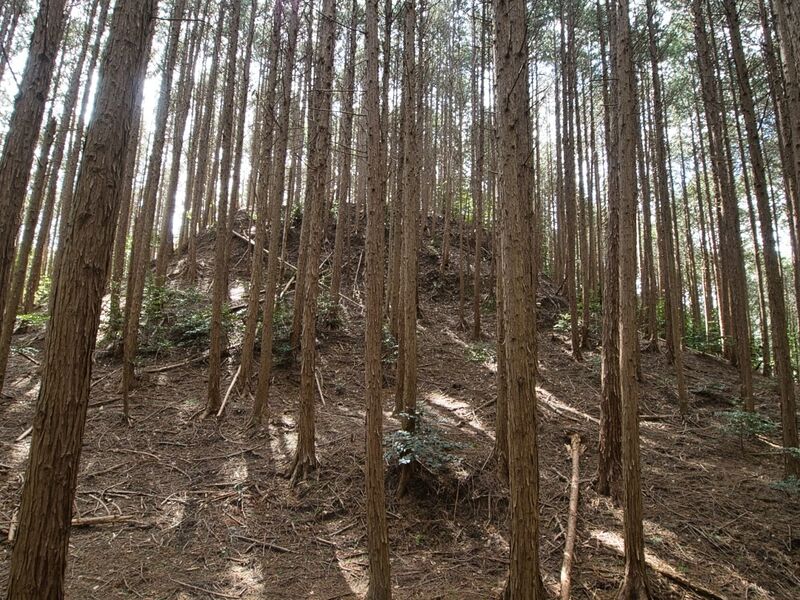 File:Shigisan25.jpg