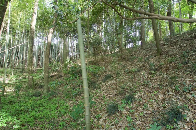 File:Takai15.jpg