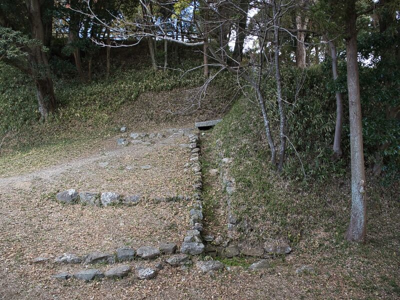 File:Tamaru2025 5.jpg