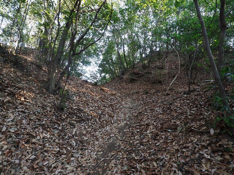 File:Yamana9.jpg